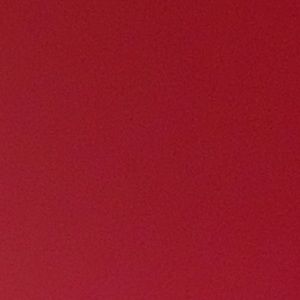 Meet your Posher, Mollie